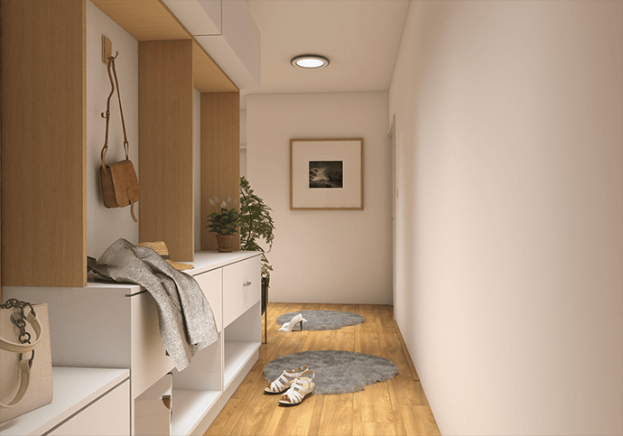 Venus Interior